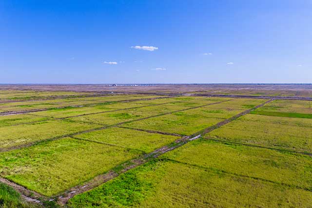 5-鎮賚鹽堿地改造項目.jpg 5-鎮賚鹽堿地改造項目.jpg